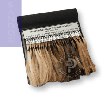 Tabla de colores de cabello