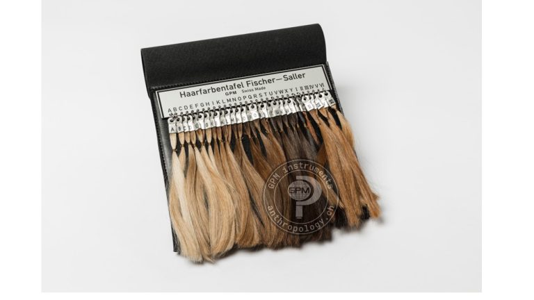 GPM 301 — Escala de color de cabello Fischer-Saller