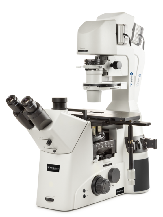 Euromex Delphi-X Inverso — Microscopio invertido