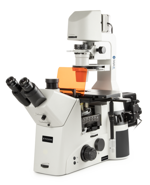 Euromex Delphi-X Inverso Fluorescencia — Microscopio de fluorescencia