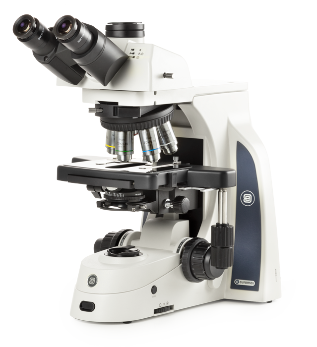 Euromex Delphi-X Observer — Microscopio de laboratorio