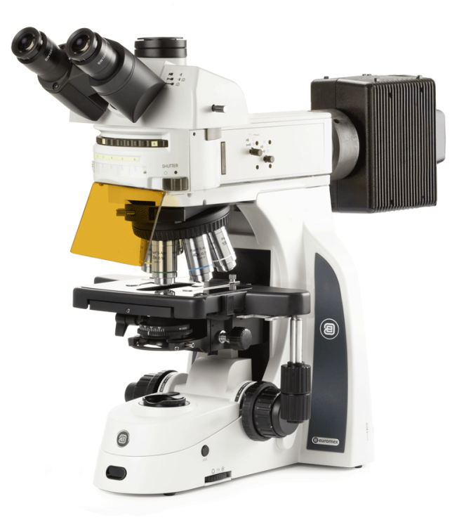 Euromex Delphi-X Observer Fluorescencia — Microscopio de fluorescencia