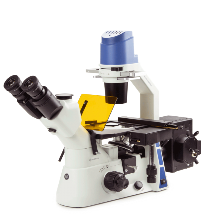 Euromex Oxion Inverso (and Fluorescencia) — Microscopio de fluorescencia