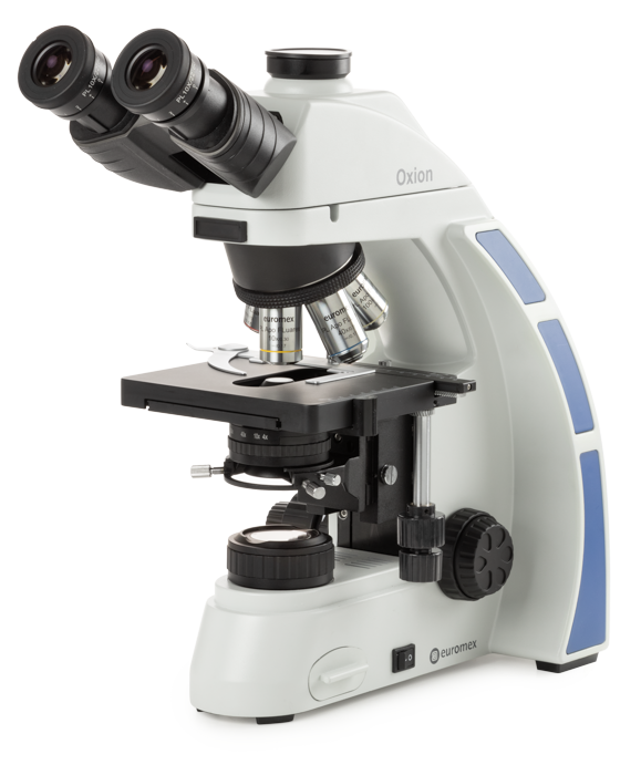 Euromex Oxion — Microscopio de laboratorio
