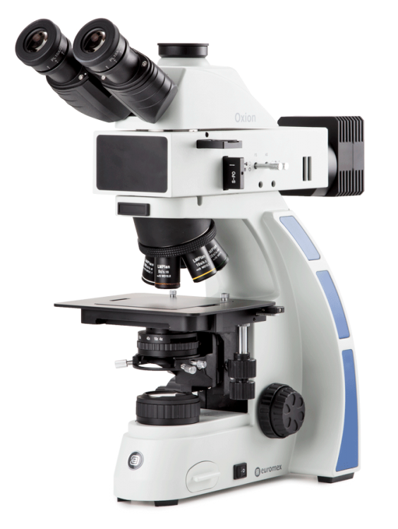 Euromex Oxion — Microscopio metalográfico